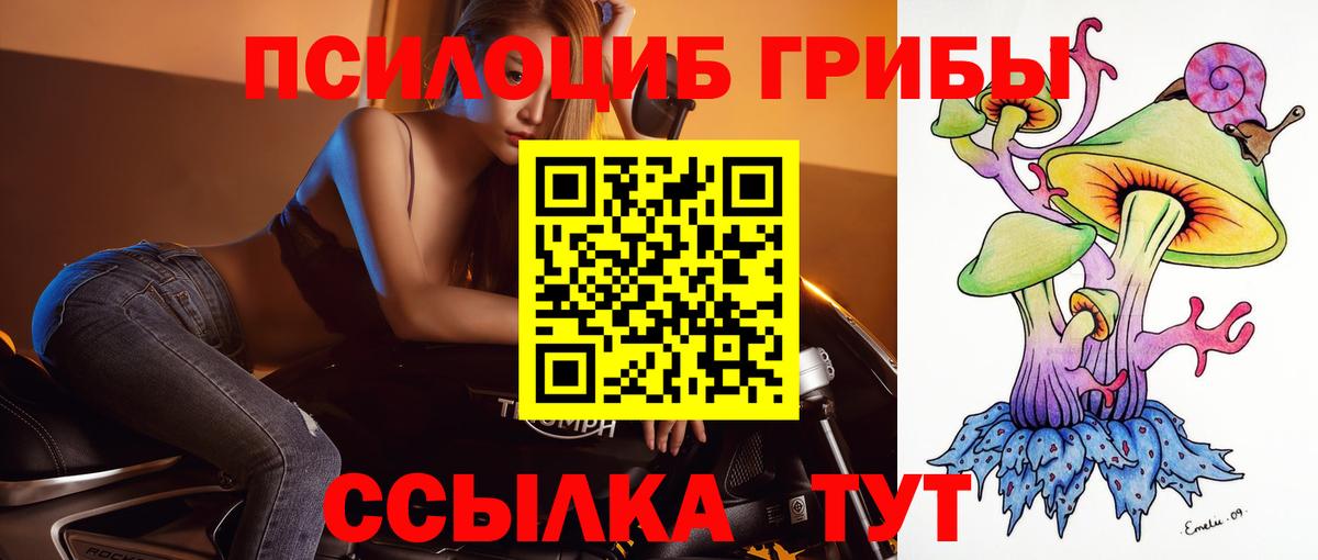 Алексин  Галлюциногенные грибы ЛСД  Вход с VPN 